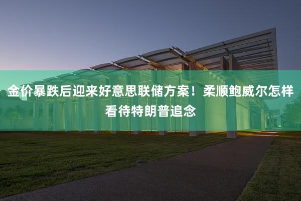 金价暴跌后迎来好意思联储方案！柔顺鲍威尔怎样看待特朗普追念